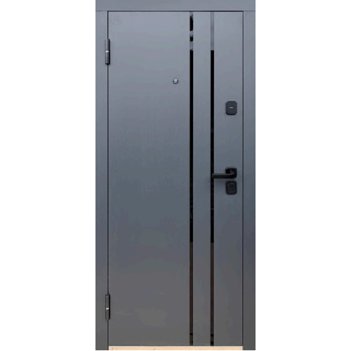 Вхідні двері STEEL DOORS SD - 202