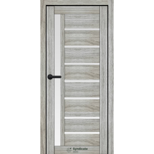  Міжкімнатні двері SD-ECO-101 Syndicate