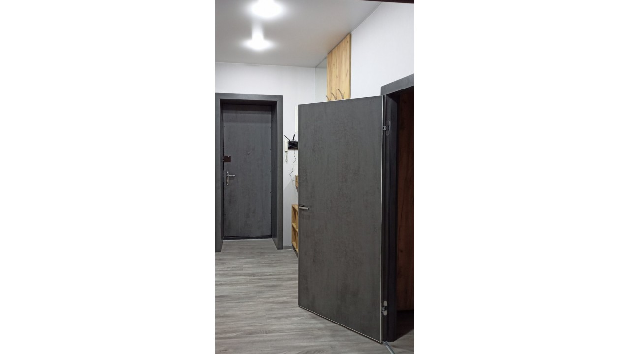 Темна двері Фенікс в світлому інтер'єрі